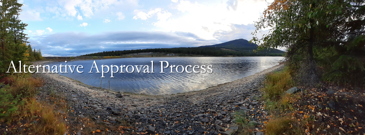 Page header image for Alternative Approval Process