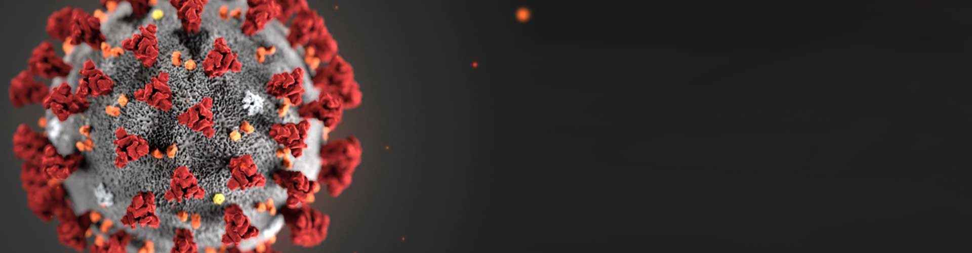 Page header image for COVID-19 Updates & Information