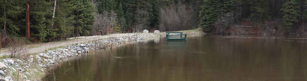 Page header image for Asset Management Service Series