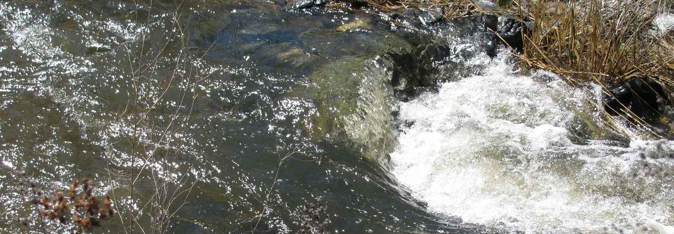 Page header image for Water Treatment