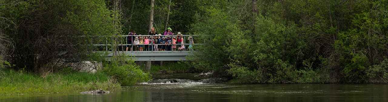 Page header image for Idlewild Park