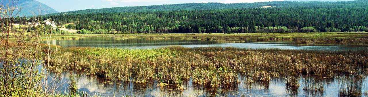 Page header image for Water Regulations