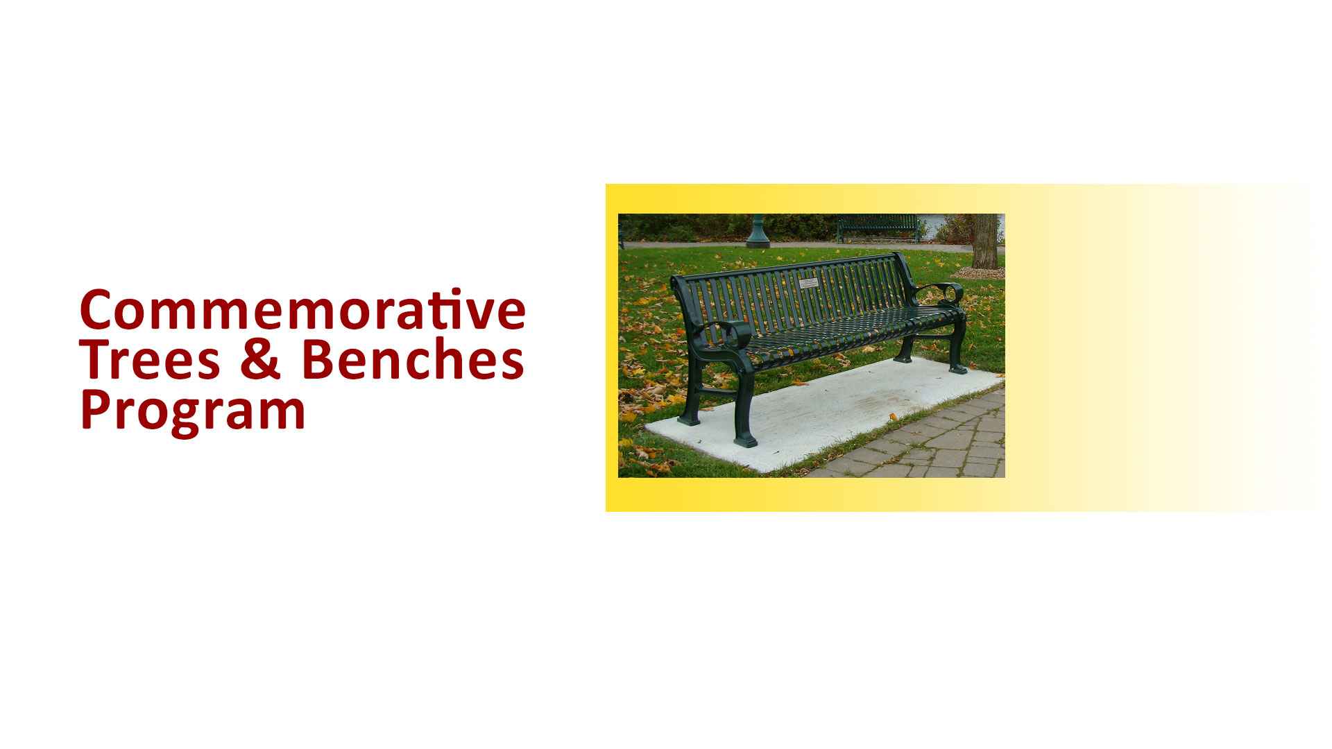 Page header image for Commemorative Trees & Benches Program