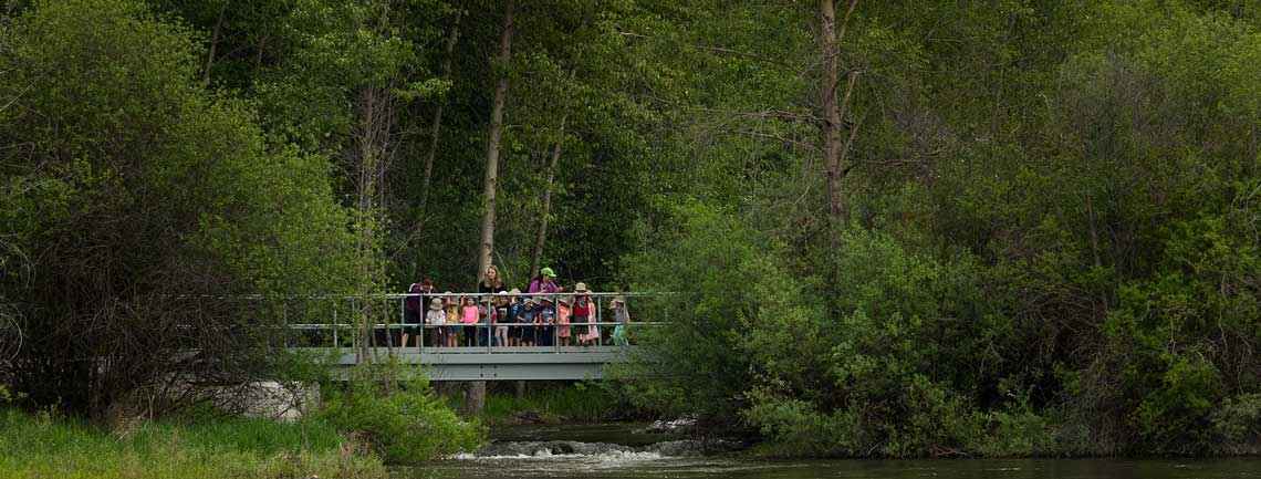 Page header image for Idlewild Park